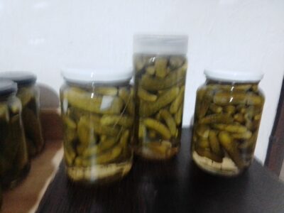 Encurtidos en genral