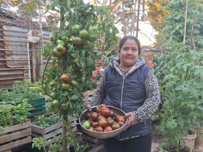 Productos de huerta orgánica
