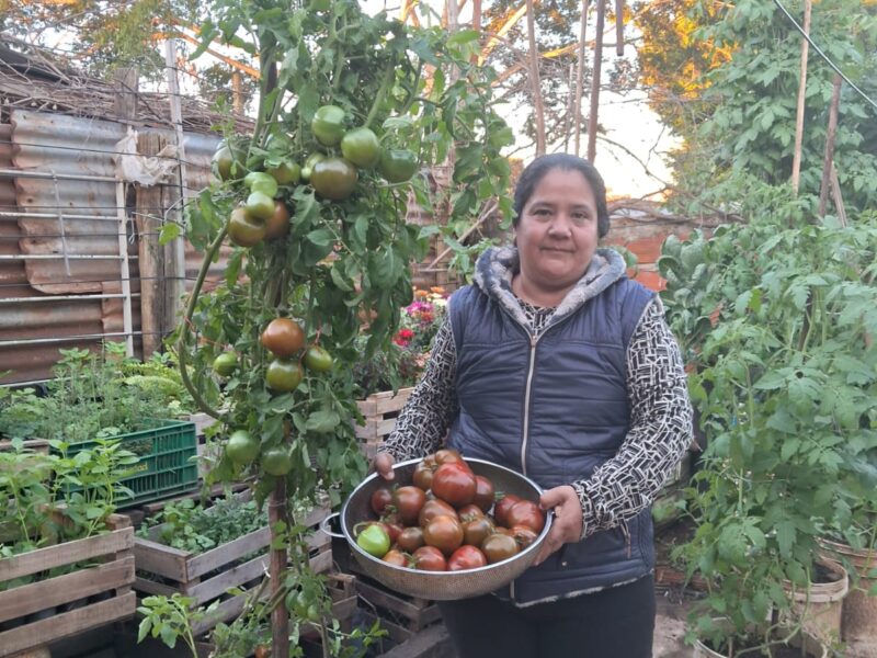 Productos de huerta orgánica