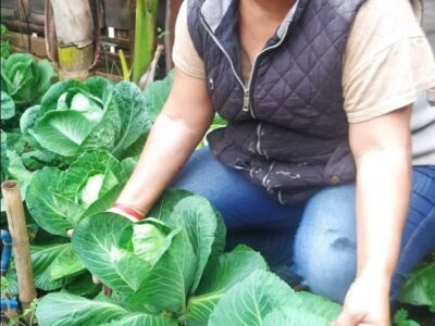 Productos de huerta orgánica