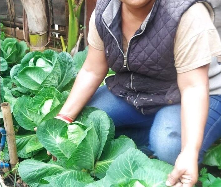 Productos de huerta orgánica