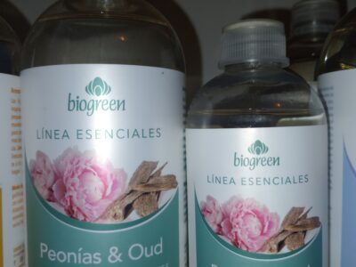 Artículos Alejandra