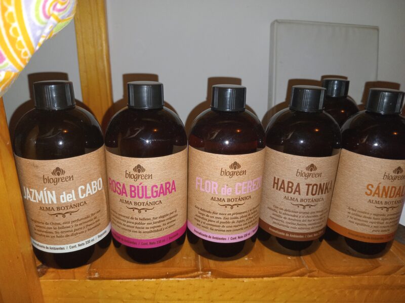 Artículos Alejandra