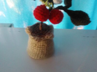 Planterita de cereza