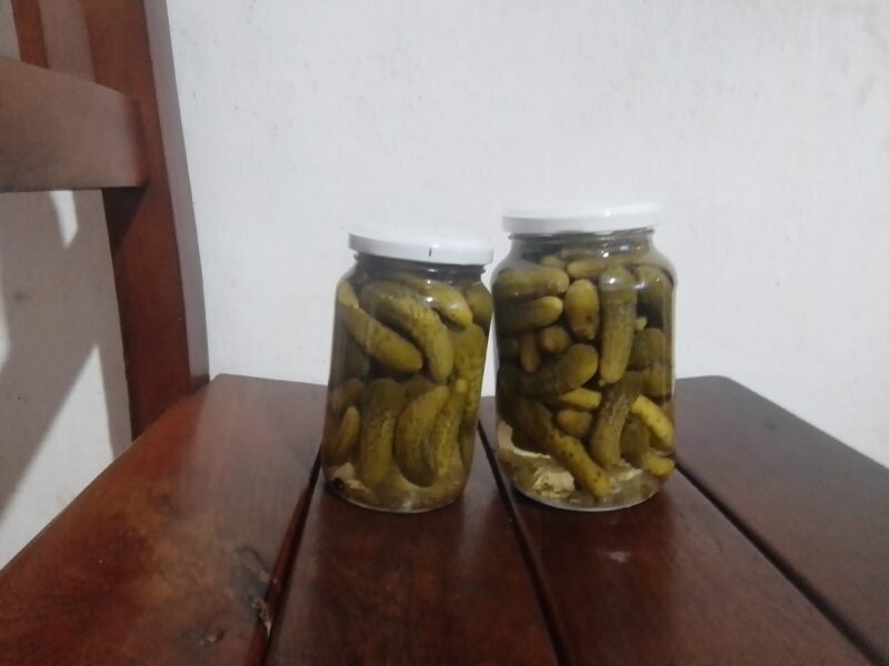 Pepinos al vinagre