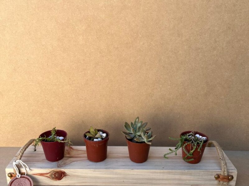 Porta macetas de madera recicladas.