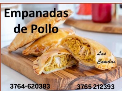 Empanadas de pollo