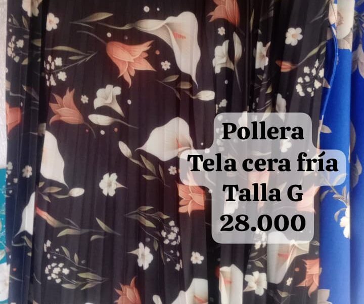 Pollera tallas especiales