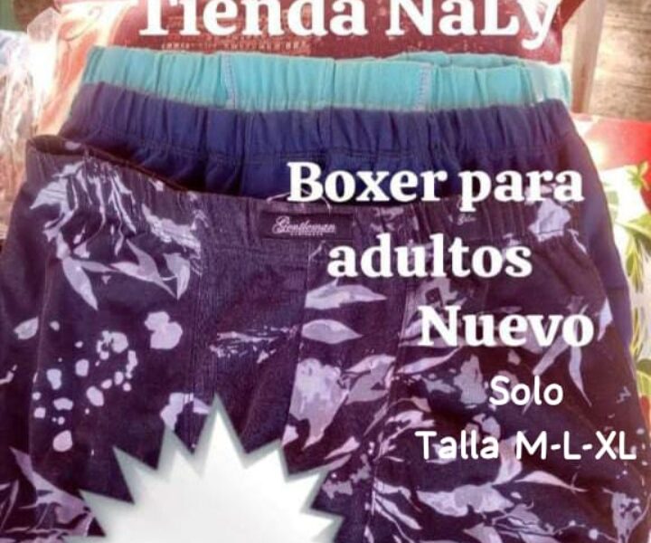 Boxer