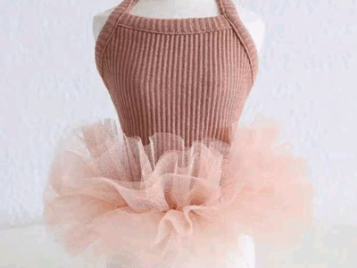 Vestido para tus mascotas