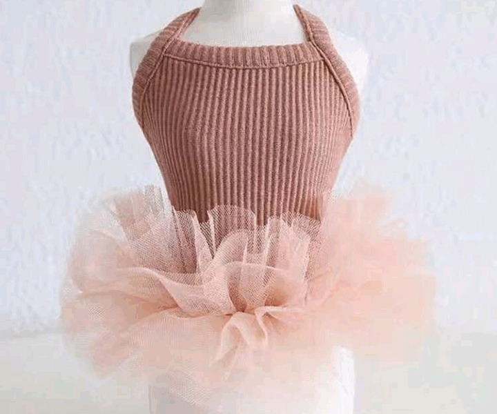 Vestido para tus mascotas
