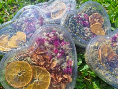 Hierbas Naturales 🌿