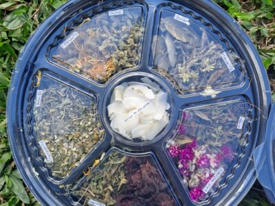 Hierbas Naturales 🌿