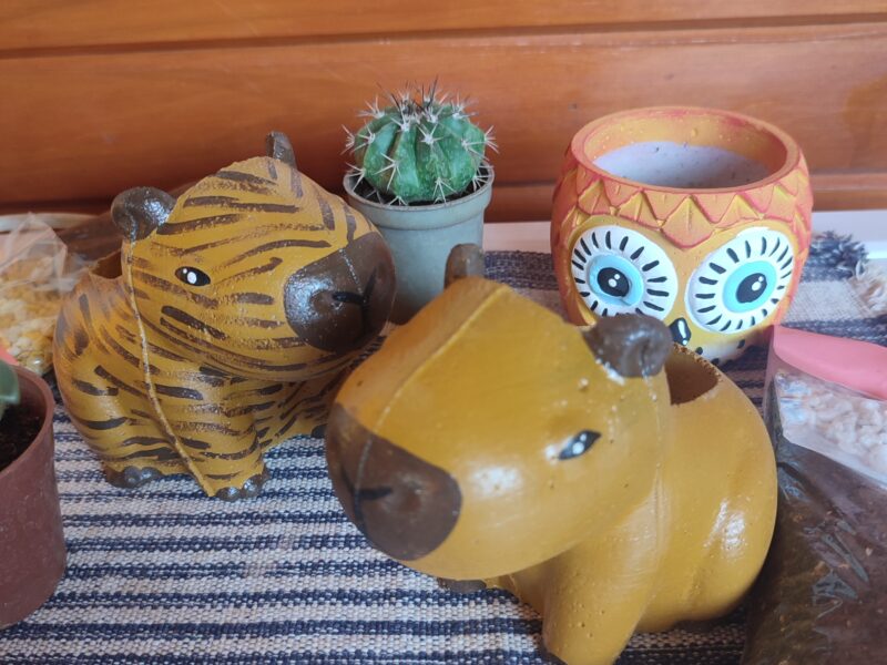 Macetas de cemento con diseños divertidos! (Ani-macetas)