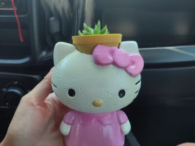 Macetas de cemento con diseños divertidos! (Ani-macetas)