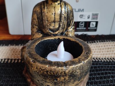 Macetas de cemento con diseños divertidos! (Ani-macetas)