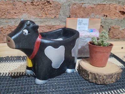Macetas de cemento con diseños divertidos! (Ani-macetas)