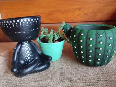Macetas de cemento con diseños divertidos! (Ani-macetas)