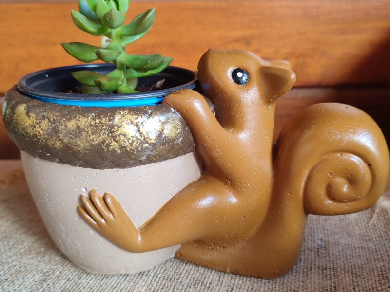 Macetas de cemento con diseños divertidos! (Ani-macetas)