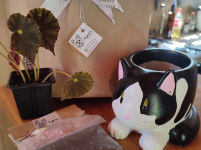 Macetas de cemento con diseños divertidos! (Ani-macetas)