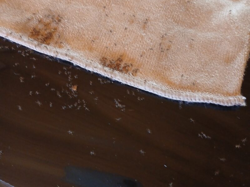 Parrillas echas y a medidas en stock