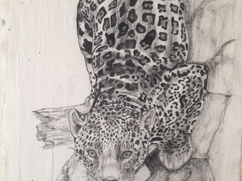 Pintura sobre lienzo