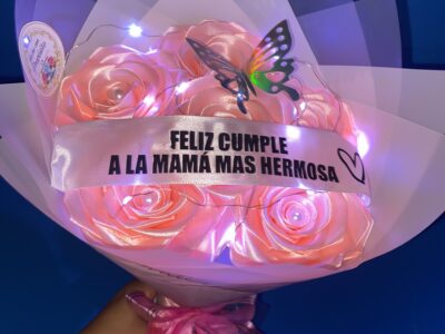 hechos con proposito LN
