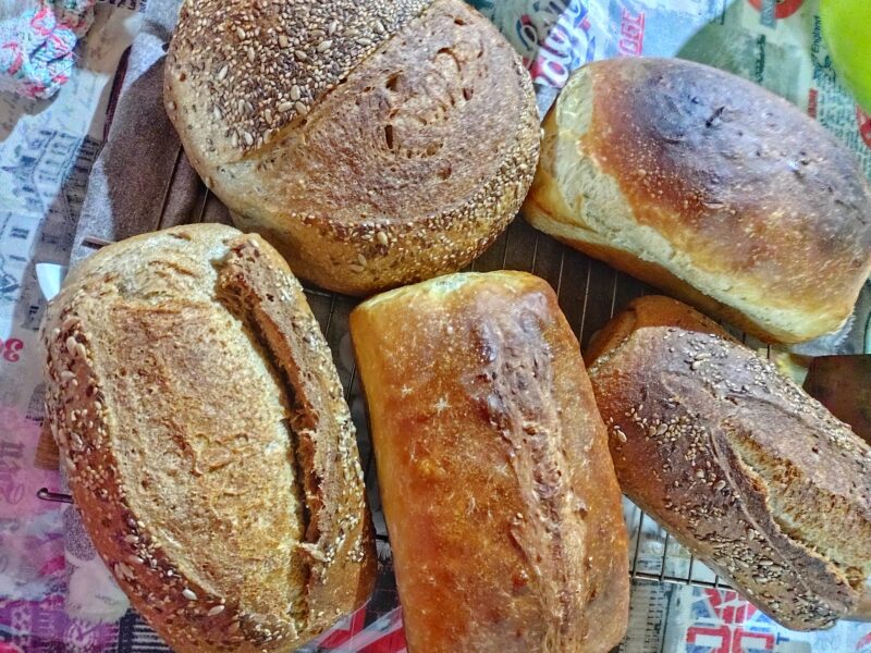 Panes de Masa Madre